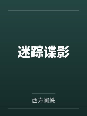 迷踪谍影