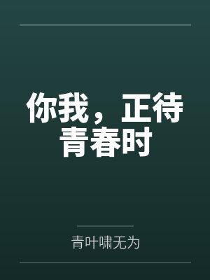 你我，正待青春时笔趣阁无弹窗