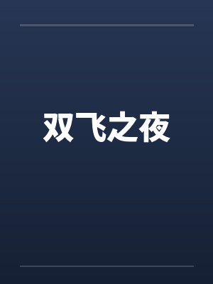 双飞之夜
