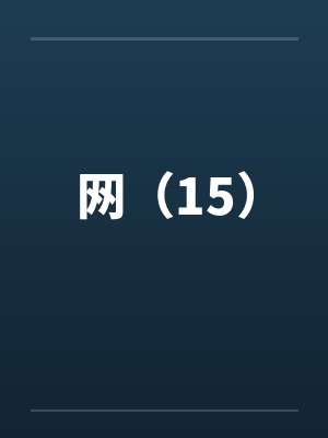 网（15）