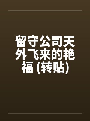 留守公司天外飞来的艳福 (转贴)