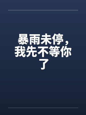 暴雨未停，我先不等你了