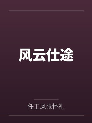 风云仕途